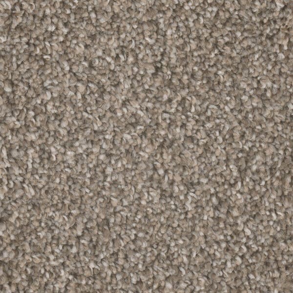 Dreamweaver Carpet Jackson Hole I Campground Carpet 7543_145