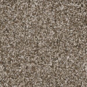 Dreamweaver Carpet Jackson Hole I Walnut Ridge Carpet 7543_163