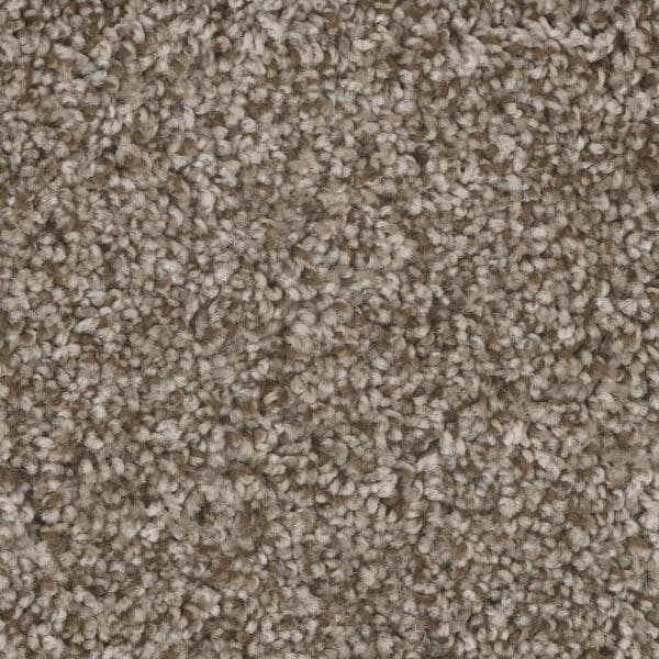 Dreamweaver Carpet Jackson Hole II Walnut Ridge Carpet 7560_163
