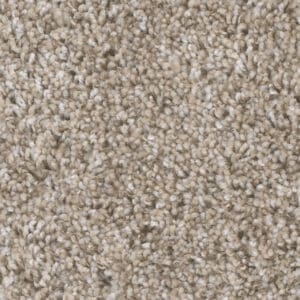 Dreamweaver Carpet Jackson Hole I Alpine Bay Carpet 7543_180