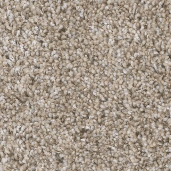 Dreamweaver Carpet Jackson Hole I Alpine Bay Carpet 7543_180