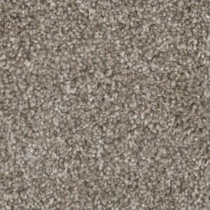 Dreamweaver Carpet Jackson Hole I Cedar Way Carpet 7543_273