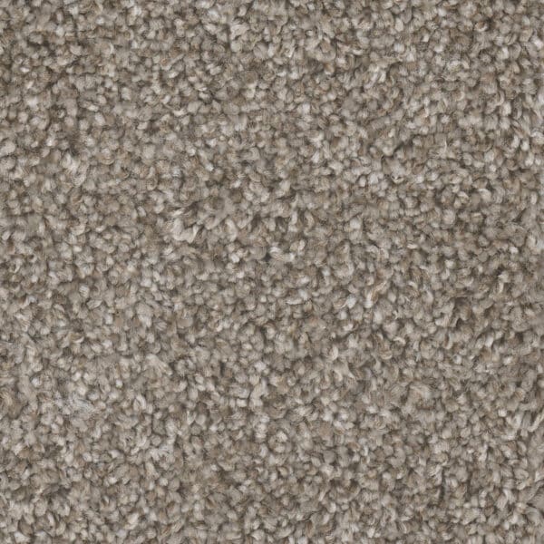 Dreamweaver Carpet Jackson Hole II Cedar Way Carpet 7560_273