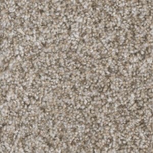 Dreamweaver Carpet Jackson Hole I Snow River Carpet 7543_323