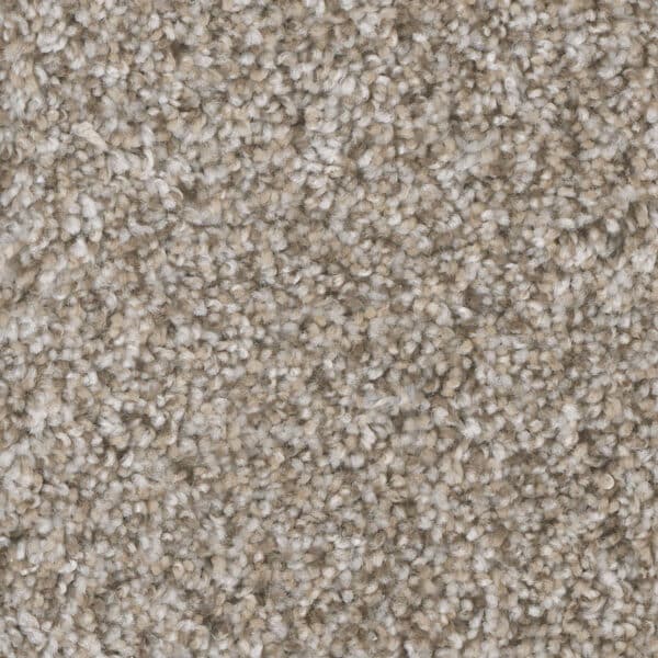 Dreamweaver Carpet Jackson Hole I Snow River Carpet 7543_323