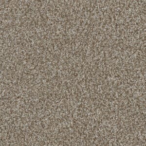 Dreamweaver Carpet Jackson Hole I Gravel Carpet 7543_395