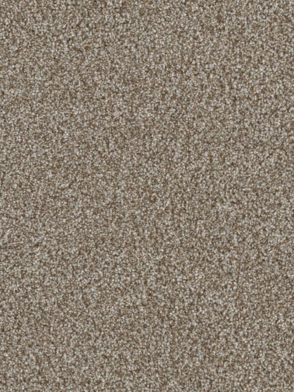 Dreamweaver Carpet Jackson Hole I Gravel Carpet 7543_395