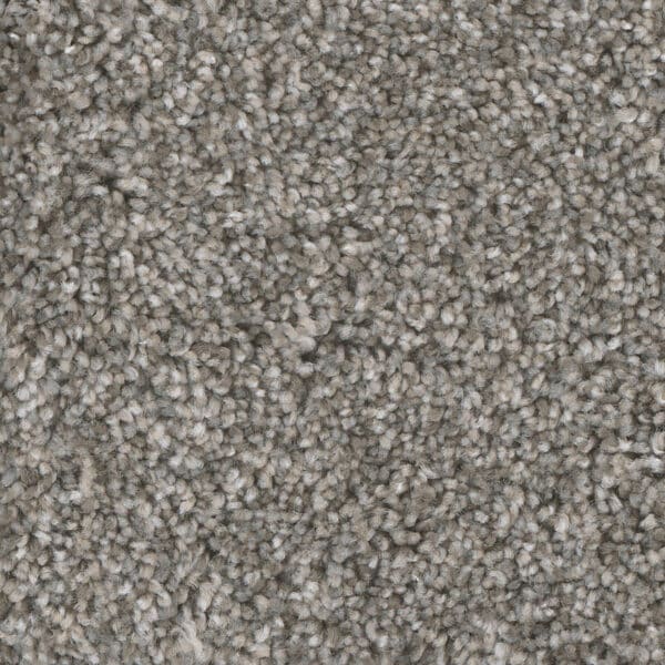Dreamweaver Carpet Jackson Hole I Quiet Breeze Carpet 7543_411