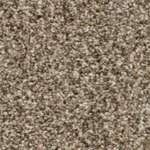 Dreamweaver Carpet Jackson Hole I Pebble Carpet 7543_637