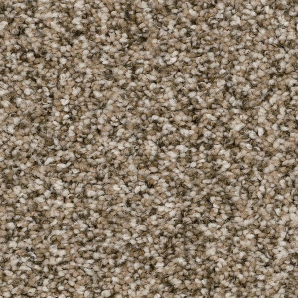 Dreamweaver Carpet Jackson Hole I Pebble Carpet 7543_637