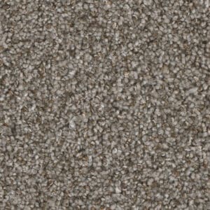 Dreamweaver Carpet Jackson Hole I Bay Dunes Carpet 7543_916