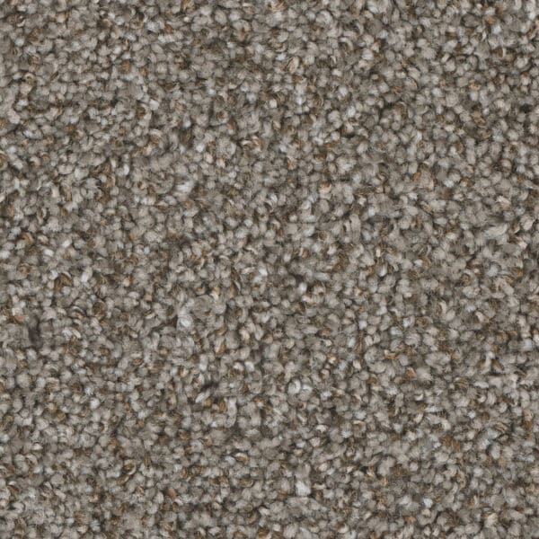 Dreamweaver Carpet Jackson Hole II Bay Dunes Carpet 7560_916