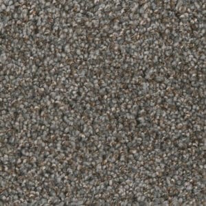 Dreamweaver Carpet Jackson Hole I Night Shade Carpet 7543_923