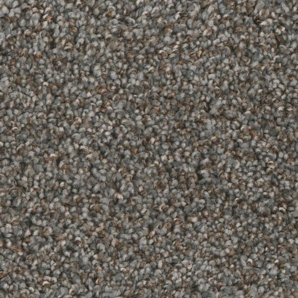 Dreamweaver Carpet Jackson Hole I Night Shade Carpet 7543_923