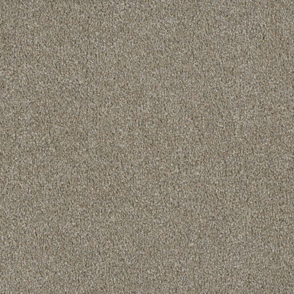 Dreamweaver Carpet Luxor I Rhinestone Carpet 7740_116