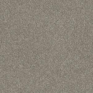 Dreamweaver Carpet Luxor I Jet Stream Carpet 7740_200