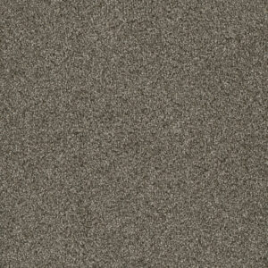 Dreamweaver Carpet Luxor I Monaco Carpet 7740_244