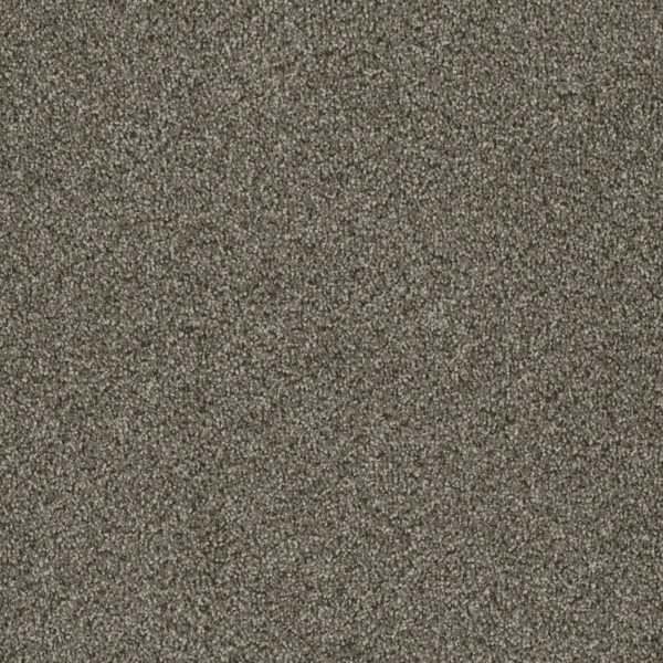 Dreamweaver Carpet Luxor I Monaco Carpet 7740_244