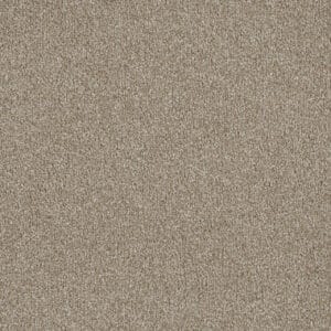 Dreamweaver Carpet Luxor I Outback Carpet 7740_298