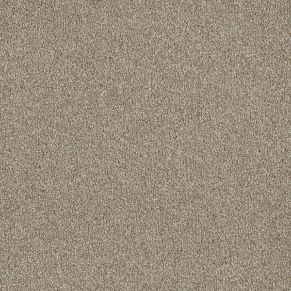 Dreamweaver Carpet Luxor I Outback Carpet 7740_298