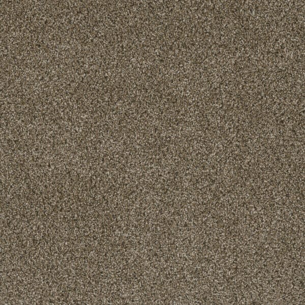 Dreamweaver Carpet Luxor I Island Spice Carpet 7740_307