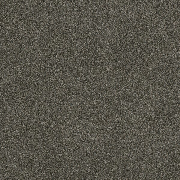 Dreamweaver Carpet Luxor I Midnight Shadow Carpet 7740_427