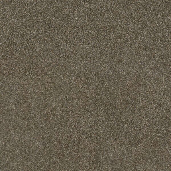Dreamweaver Carpet Luxor II Cinnamon Tea Carpet 7750_528