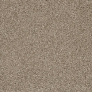 Dreamweaver Carpet Luxor I Flax Beige Carpet 7740_535