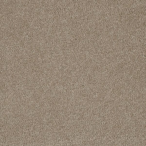 Dreamweaver Carpet Luxor I Flax Beige Carpet 7740_535