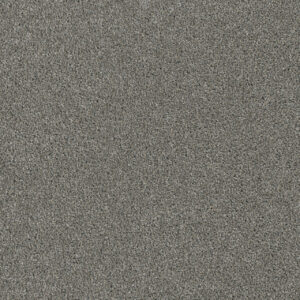 Dreamweaver Carpet Luxor I Looking Glass Carpet 7740_570