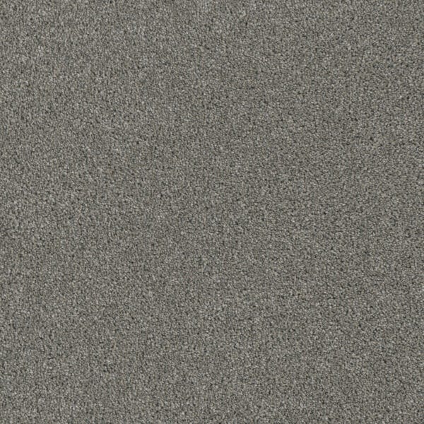 Dreamweaver Carpet Luxor I Looking Glass Carpet 7740_570