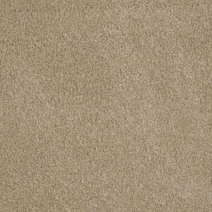Dreamweaver Carpet Luxor II Cashmere Carpet 7750_580
