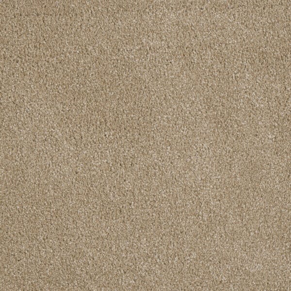 Dreamweaver Carpet Luxor I Cashmere Carpet 7740_580