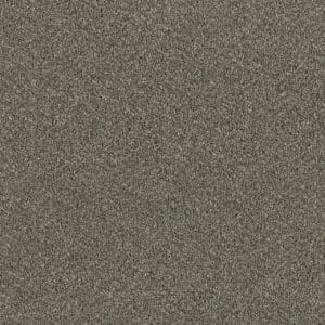 Dreamweaver Carpet Luxor I Smooth Sailing Carpet 7740_641