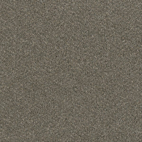 Dreamweaver Carpet Luxor I Smooth Sailing Carpet 7740_641