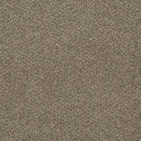 Dreamweaver Carpet Luxor I Sienna Sand Carpet 7740_680