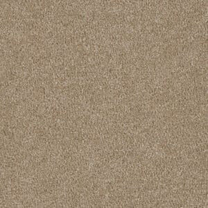 Dreamweaver Carpet Luxor I Sawgrass Carpet 7740_701