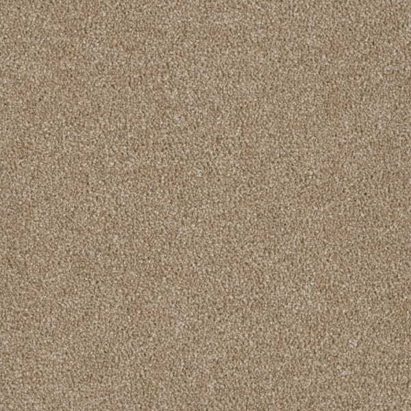 Dreamweaver Carpet Luxor I Sawgrass Carpet 7740_701