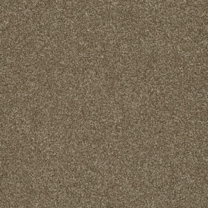 Dreamweaver Carpet Luxor I Quail Carpet 7740_725