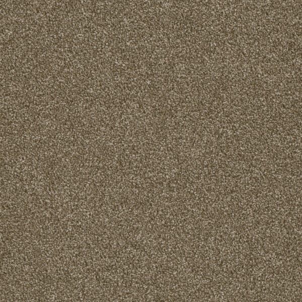 Dreamweaver Carpet Luxor I Quail Carpet 7740_725