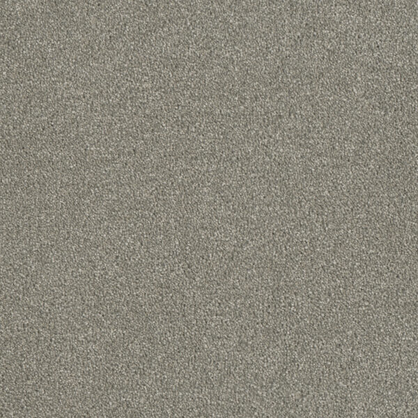 Dreamweaver Carpet Luxor I Dove Carpet 7740_800