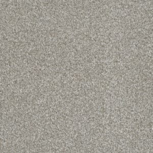 Dreamweaver Carpet Luxor I Winterbrooke Carpet 7740_898