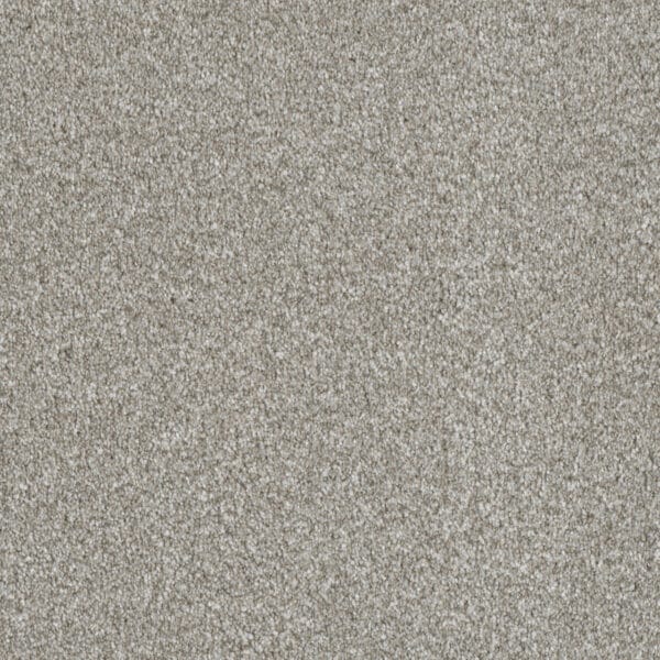 Dreamweaver Carpet Luxor I Winterbrooke Carpet 7740_898