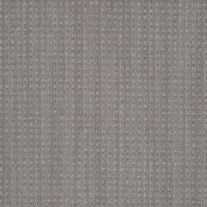 Dreamweaver Carpet DW Select Davos Avalanche Carpet 8123_4742