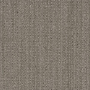 Dreamweaver Carpet DW Select Davos Promenade Carpet 8123_4840