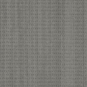 Dreamweaver Carpet DW Select Chelsea Telescope Carpet 8168_3900