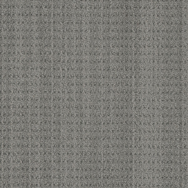Dreamweaver Carpet DW Select Chelsea Telescope Carpet 8168_3900