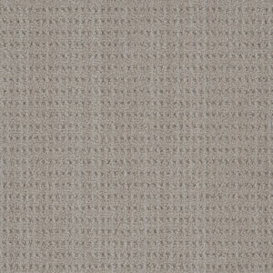 Dreamweaver Carpet DW Select Chelsea Highwinds Carpet 8168_3915