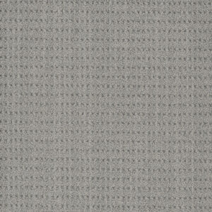 Dreamweaver Carpet DW Select Chelsea Windhaven Carpet 8168_3934