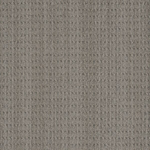Dreamweaver Carpet DW Select Chelsea Kings Point Carpet 8168_5762